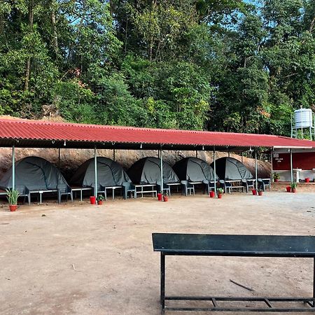 The Nest Bettathur Coorg Campsite Hotel Madikeri Eksteriør billede